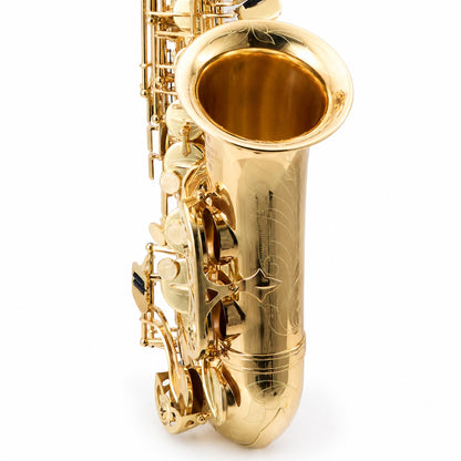 Buffet Crampon 400 Series Professional Alto Saxophone in Gold Lacquer