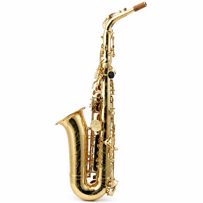 Buffet Crampon 400 Series Professional Alto Saxophone in Gold Lacquer