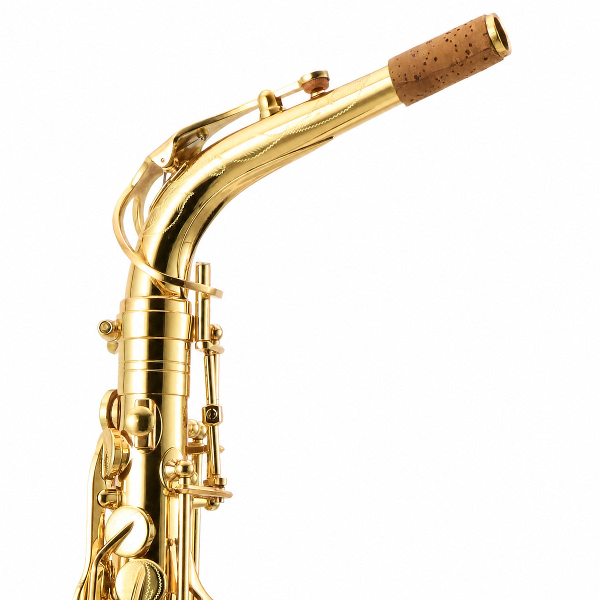Buffet Crampon 400 Series Professional Alto Saxophone in Gold Lacquer