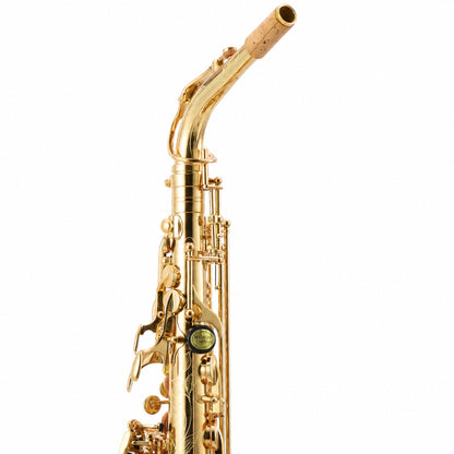 Buffet Crampon 400 Series Professional Alto Saxophone in Gold Lacquer