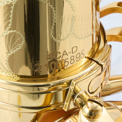 Buffet Crampon 400 Series Professional Alto Saxophone in Gold Lacquer