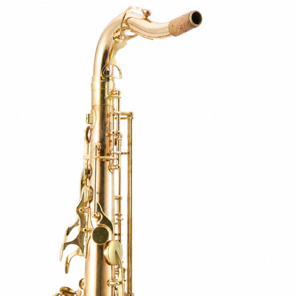 Yanagisawa TWO20 'Elite' Professional Bb Tenor Saxophone in Lacquered Bronze