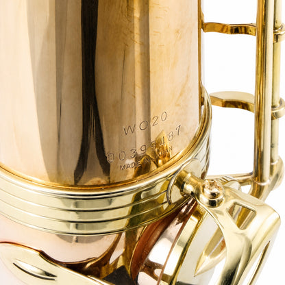 Yanagisawa TWO20 'Elite' Professional Bb Tenor Saxophone in Lacquered Bronze