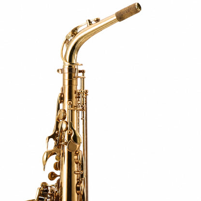 Eastman EAS850 'Rue Saint-Georges' Professional Alto Saxophone in Lacquer