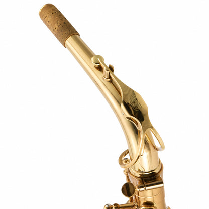 Eastman EAS850 'Rue Saint-Georges' Professional Alto Saxophone in Lacquer