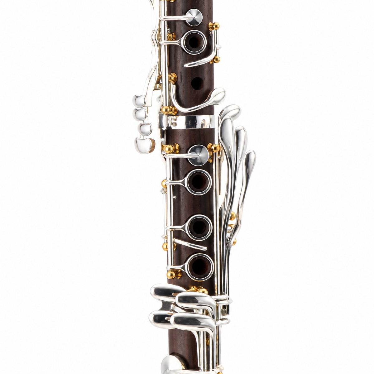 Backun BCLBPROTC-SKGE Protégé Professional Bb Clarinet in Cocobolo SN PR-4739