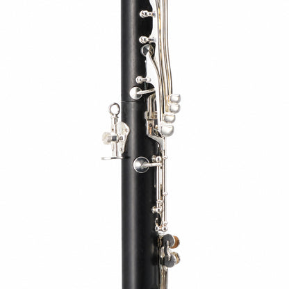 Backun BCLAQG-SK Q-Series Professional A Clarinet in Grenadilla