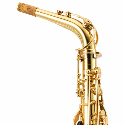 Yamaha YAS-875EX 'Custom EX' Professional Alto Saxophone in Gold Lacquer SN 228006