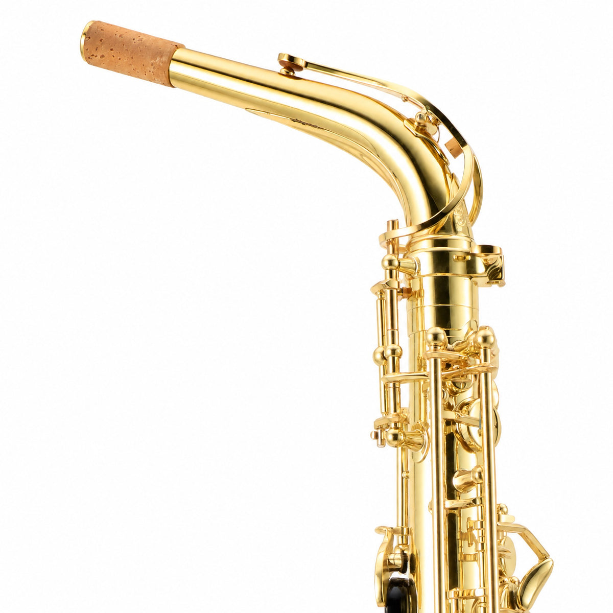 Selmer Paris 52JU 'Series II Jubilee' Alto Saxophone in Gold Lacquer