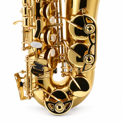Selmer SAS511 Intermediate Eb Alto Saxophone in Clear Lacquer