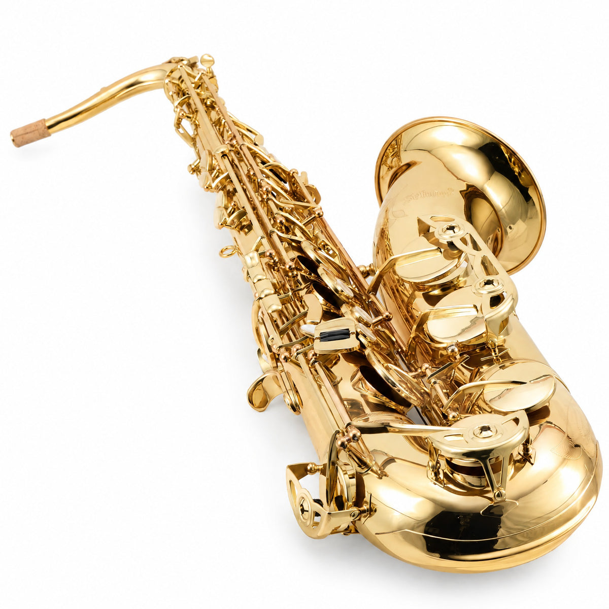 Selmer STS511 Intermediate Bb Tenor Saxophone in Lacquer