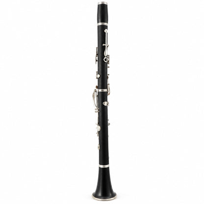 Selmer Paris Series 10 Professional Bb Clarinet in Grenadilla