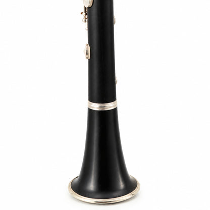 Selmer Paris Series 10 Professional Bb Clarinet in Grenadilla