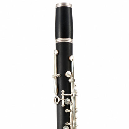 Selmer Paris Series 10 Professional Bb Clarinet in Grenadilla