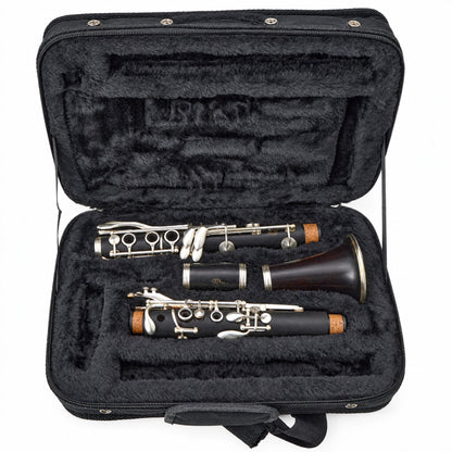 Selmer Paris Series 10 Professional Bb Clarinet in Grenadilla