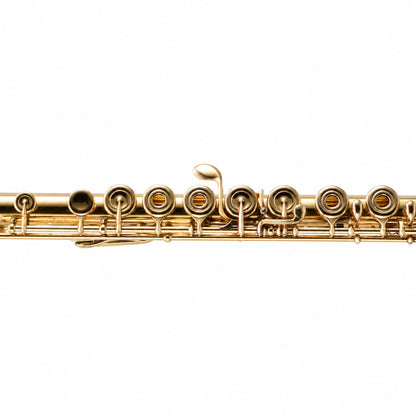 Yamaha YFL-991AH Professional 14K Gold Concert Flute in 24K Gold Plate