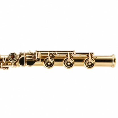 Yamaha YFL-991AH Professional 14K Gold Concert Flute in 24K Gold Plate