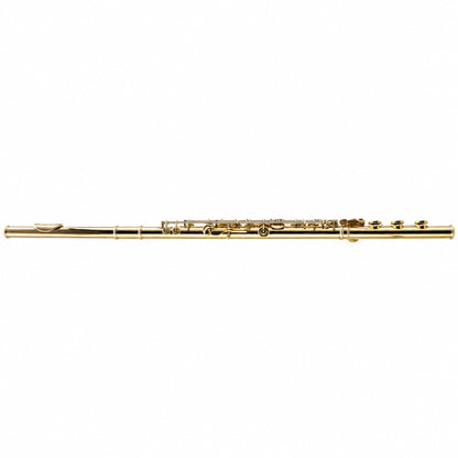 Yamaha YFL-991AH Professional 14K Gold Concert Flute in 24K Gold Plate