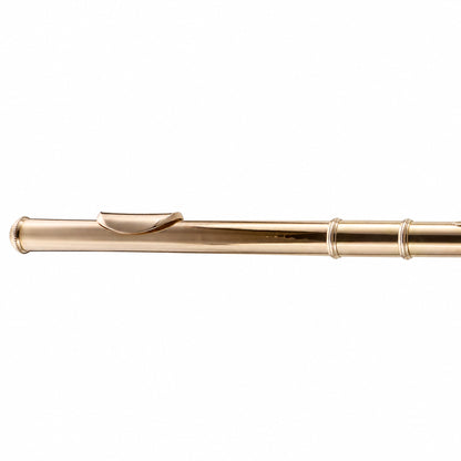 Yamaha YFL-991AH Professional 14K Gold Concert Flute in 24K Gold Plate