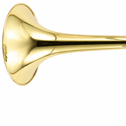 Bach 42A Stradivarius Professional Bb/F Tenor Trombone in Lacquer