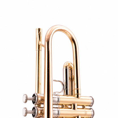 Yamaha YTR-6335H Professional Bb Trumpet in Gold Lacquer