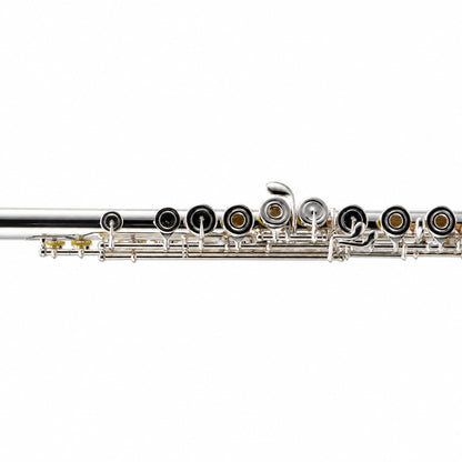 William S. Haynes AF780SE-BO C# 'Amadeus' Flute in Sterling Silver