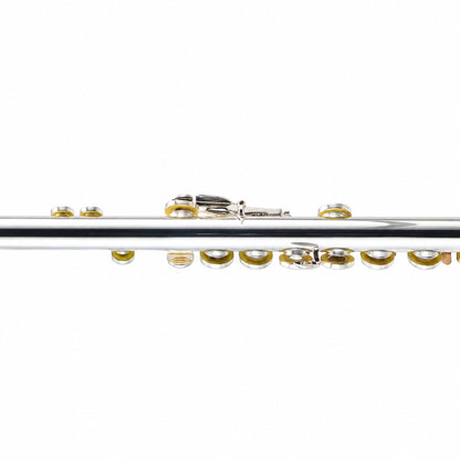 William S. Haynes AF580SE-BO 'Amadeus' Concert Flute in Silver Plate