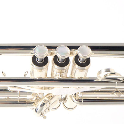 Adams Model A2 Custom Series Professional Bb Trumpet in Silver Plate