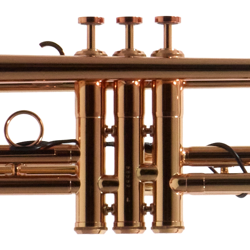 Adams Model A9 Custom Series Large Bore Professional Bb Trumpet BRAND NEW- for sale at BrassAndWinds.com
