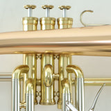 Adams Model F1 Professional Flugelhorn BRAND NEW- for sale at BrassAndWinds.com