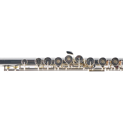 Altus 1307SRBEO-D-4 Professional Britannia Silver Flute