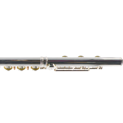 Altus 1307SRBEO-D Professional Britannia Silver Flute