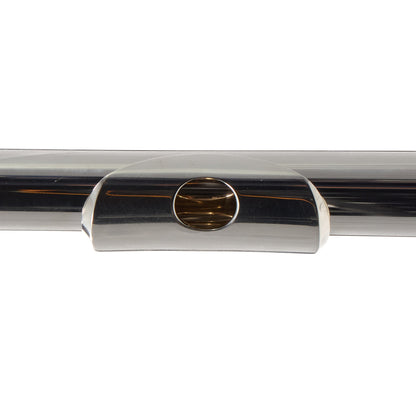 Altus 1607SRBEO-D Handmade Flute with 14K Riser