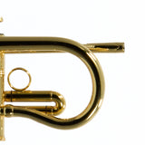 Andalucia Shepherd's Crook Bb Trumpet SN ADT00280 NEAT- for sale at BrassAndWinds.com