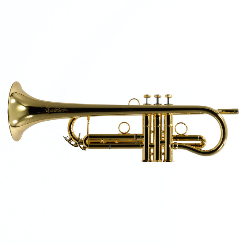 Andalucia Shepherd's Crook Bb Trumpet SN ADT00280 NEAT- for sale at BrassAndWinds.com