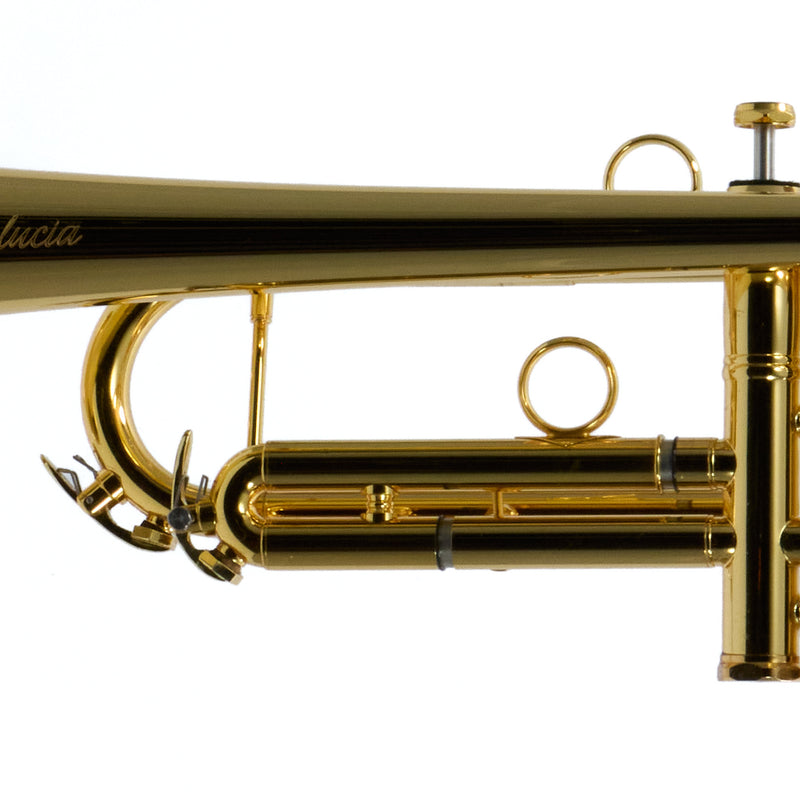 Andalucia Shepherd's Crook Bb Trumpet SN ADT00280 NEAT- for sale at BrassAndWinds.com