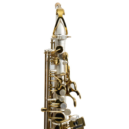 Antigua Winds Model AS4248SQ 'Powerbell' Alto Saxophone in Satin Silver