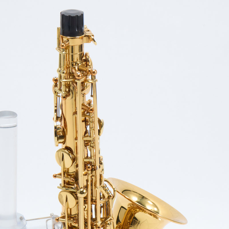 Antigua Winds Model AS6200VLQ 'Pro One' Alto Saxophone SN 120366 EXCELLENT- for sale at BrassAndWinds.com