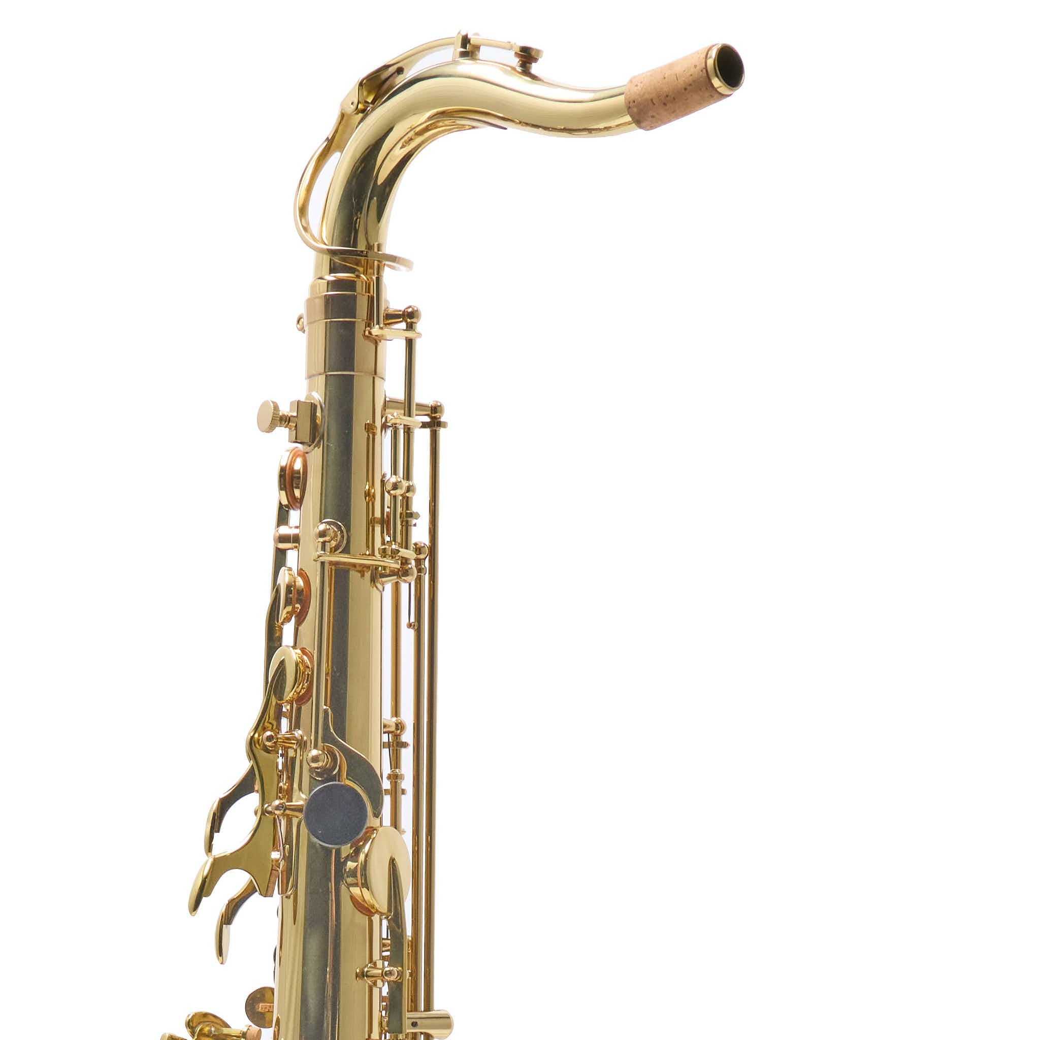 Antigua Winds Intermediate Tenor Saxophone | TS3108LQ – The Mighty
