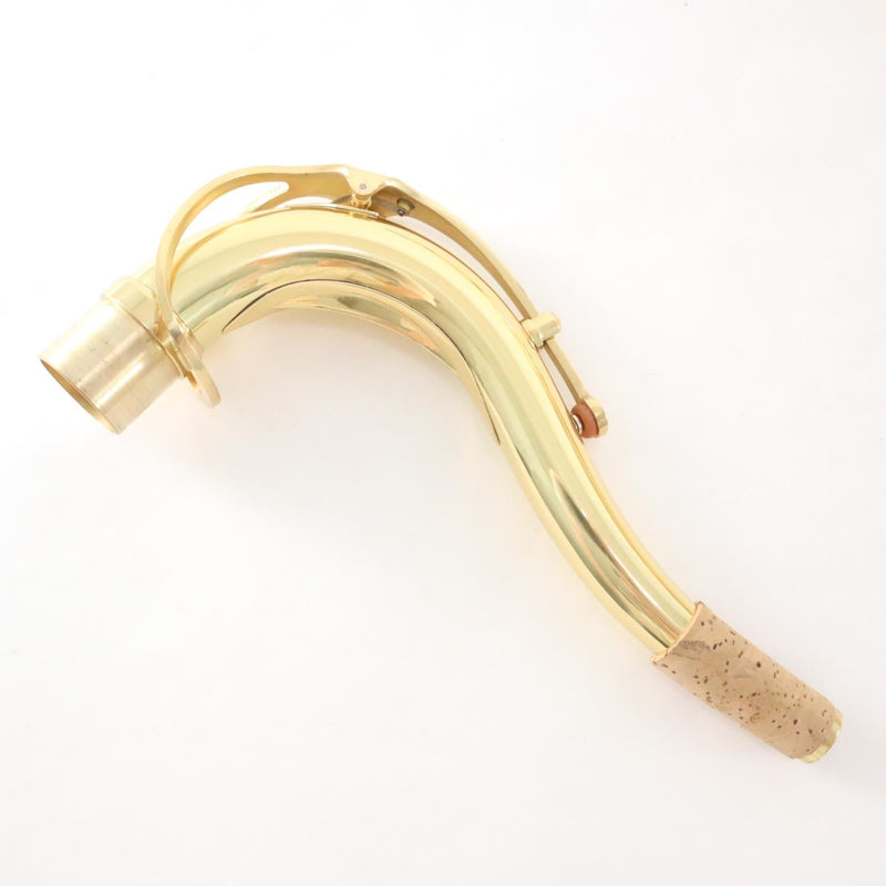 Apollo Model ATS-23 Student Tenor Saxophone BRAND NEW- for sale at BrassAndWinds.com