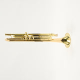 Bach Model 17043GYR 'Apollo' Professional Bb Trumpet SN 796829 SUPERB- for sale at BrassAndWinds.com