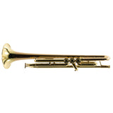 Bach Model 17043GYR 'Apollo' Professional Bb Trumpet SN 797135