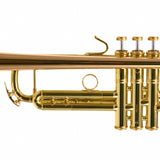 Bach Model 17043GYR 'Apollo' Professional Bb Trumpet SN 797195 OPEN BOX- for sale at BrassAndWinds.com