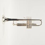 Bach Model 170S43GY 'Apollo' Professional Bb Trumpet SN 796334 EXCELLENT- for sale at BrassAndWinds.com