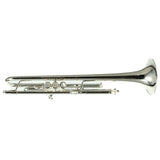 Bach Model 170S43GYR 'Apollo' Professional Bb Trumpet SN 795415 SUPERB- for sale at BrassAndWinds.com
