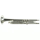 Bach Model 170S43GYR 'Apollo' Professional Bb Trumpet SN 795415 SUPERB- for sale at BrassAndWinds.com