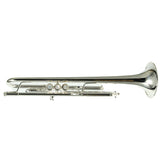 Bach Model 170S43GYR 'Apollo' Professional Bb Trumpet SN 795649 SUPERB- for sale at BrassAndWinds.com