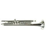 Bach Model 170S43GYR 'Apollo' Professional Bb Trumpet SN 795649 SUPERB- for sale at BrassAndWinds.com