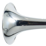 Bach Model 180S37 Stradivarius Professional Bb Trumpet SN 793875 SUPERB- for sale at BrassAndWinds.com