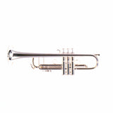 Bach Model 190S72V Stradivarius 'Vindabona' Bb Trumpet SN 801849 SUPERB- for sale at BrassAndWinds.com